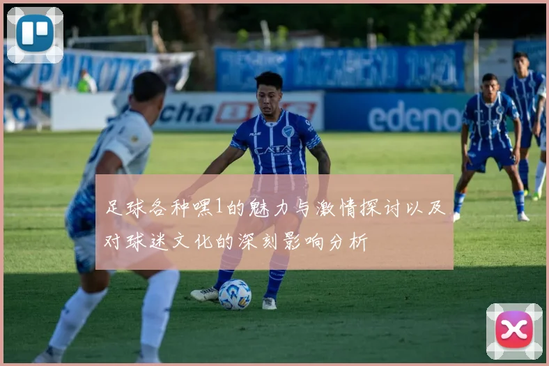 足球各种嘿1的魅力与激情探讨以及对球迷文化的深刻影响分析