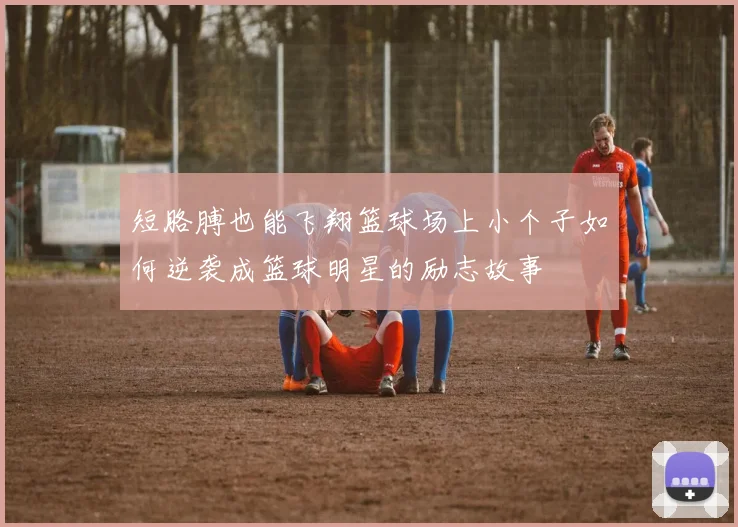 短胳膊也能飞翔篮球场上小个子如何逆袭成篮球明星的励志故事