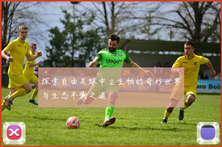 探索自由足球中立生物的奇妙世界与生态平衡之道