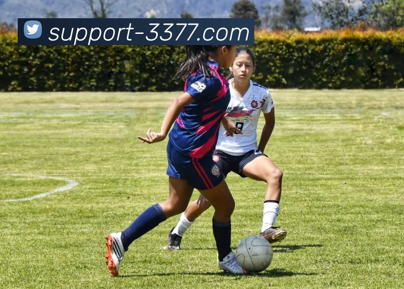 比分直播全站App